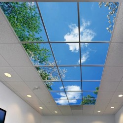 Boîte à lumière de plafond en verre avec impression UV Boîte à lumière de plafond en verre avec impression UV