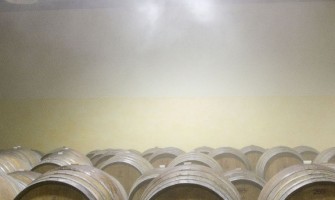 Vinificação e produção de conhaque