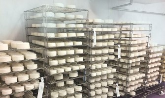 Os queijos e a massa amadurecem