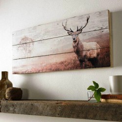 Houten pan met UV bedrukking Houten pan met UV bedrukking