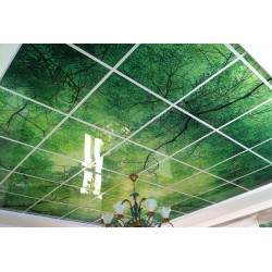 Boîte à lumière de plafond en verre avec impression UV Boîte à lumière de plafond en verre avec impression UV