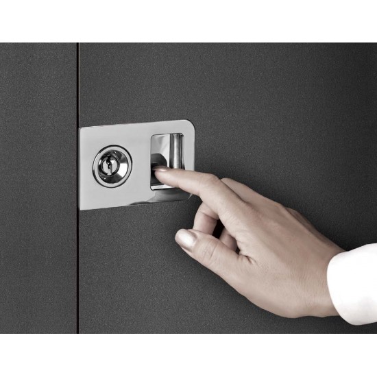 Factory for the production of Doors at Producer Prices Buy Entrance door with wood decoration Pirnar Ultimum 524-A-ALU | WOOD-ALU at Factory Prices