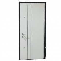 Aluminum grey door with a box, with metal inserts, white inside Aluminum grey door with a box, with metal inserts, white inside
