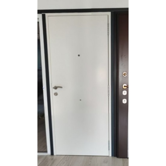 Buy Aluminum Entrance Door White at Factory Prices