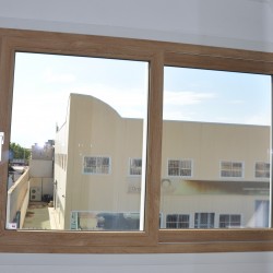 Fenêtre en métal, pivotante Fenêtre en métal, pivotante